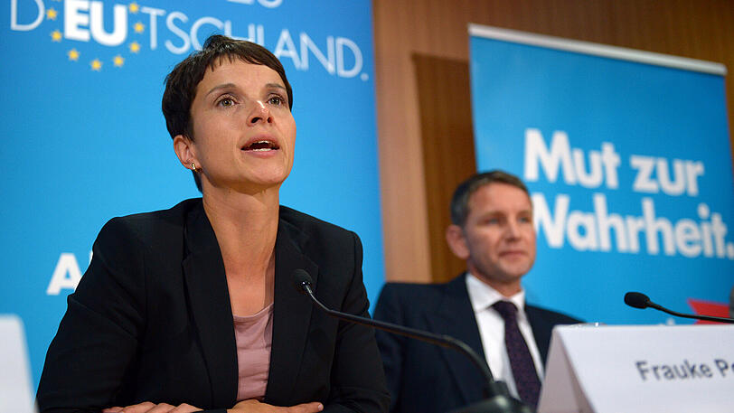 Frauke Petry und Björn Höcke während der Bundespressekonferenz 2014 in Berlin.