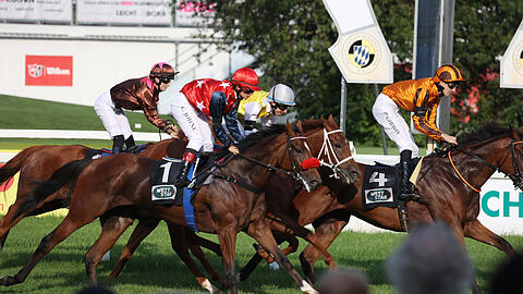 Beim Allianz Familienfest powered by AZ liefern sich die Jockeys packende Duelle auf der Zielgeraden. ​