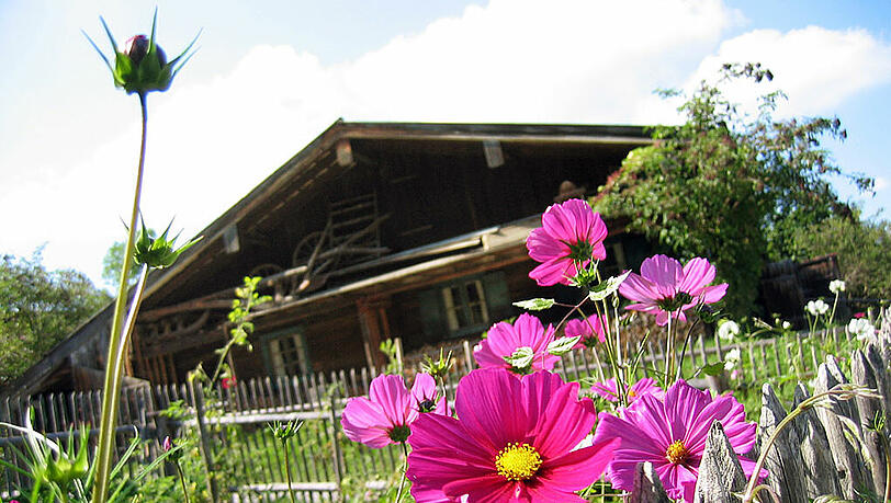 FREILICHTMUSEUM "GLENTLEITEN": Das neue Eingangsgebäude für die oberbayerische Bildungseinrichtung droht mit rund 13,5 Millionen Euro deutlich teurer zu werden als die geplanten 7,5 Millionen Euro. FREILICHTMUSEUM "GLENTLEITEN": Das neue Eingangsgebäude für die oberbayerische Bildungseinrichtung droht mit rund 13,5 Millionen Euro deutlich teurer zu werden als die geplanten 7,5 Millionen Euro.