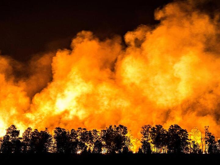 Ein Waldstück im Mariapeel bei Deurne in den Niederlanden steht unter Feuer.