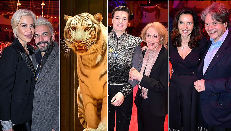 Die Promis und der Tiger-Dompteur: Die Fotos der Krone-Premiere...