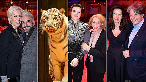 Die Promis und der Tiger-Dompteur: Die Fotos der Krone-Premiere...