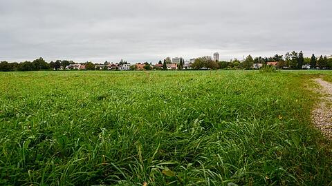 Heute ist München hier an den Sollner Feldern zu Ende. Die Grünen wollen, dass das für immer so bleibt. Die Wiesen und Felder sollen aus ihrer Sicht geschützt werden. Die SPD kann sich vorstellen, hier eines Tages Wohnraum zu schaffen.