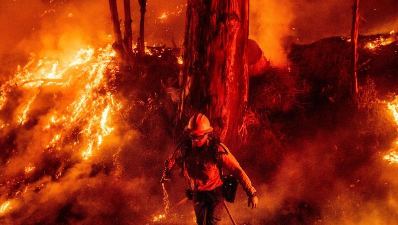 Nach dem tagelangen Einsatz der Feuerwehren in Kalifornien ist das größte Buschfeuer in dem US-Westküstenstaat zu fast zwei Dritteln eingedämmt. Nach dem tagelangen Einsatz der Feuerwehren in Kalifornien ist das größte Buschfeuer in dem US-Westküstenstaat zu fast zwei Dritteln eingedämmt.