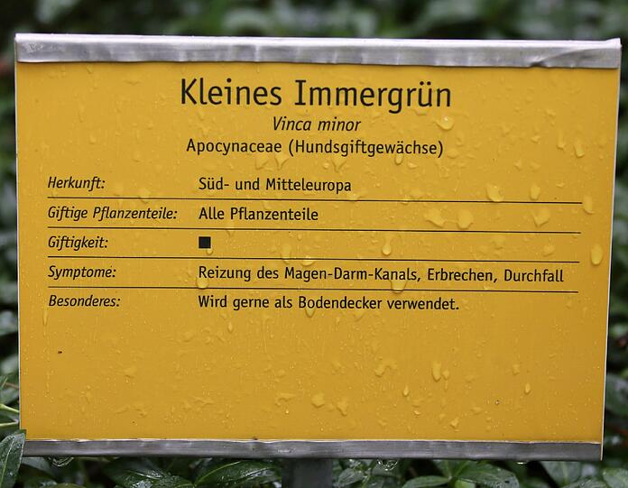 Auflösung siehe Tafel