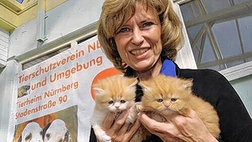 Tierschutzvereins-Chefin Dagmar Wöhrl mit zwei vier Wochen alten Katzenbabys. Tierschutzvereins-Chefin Dagmar Wöhrl mit zwei vier Wochen alten Katzenbabys.