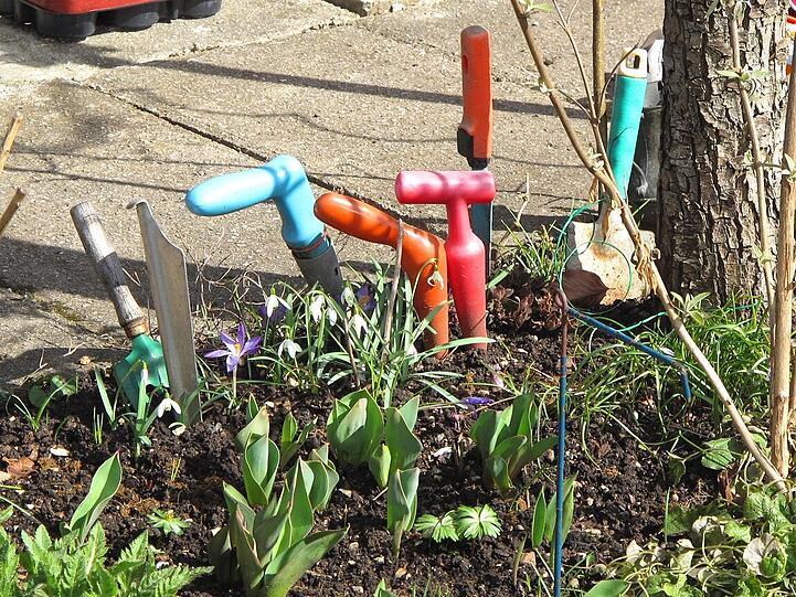 AZ-Leser Djordje Matkovic hat in der Gartenlaube in Moosach die Frühlingsboten fotografiert. Die Bilder.