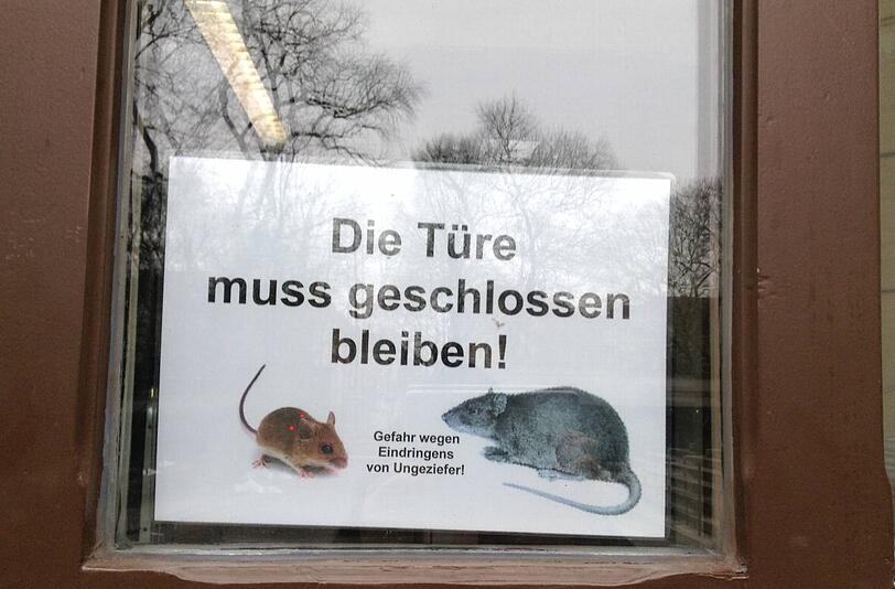 Sollen draußen vor dem Landtag bleiben: Münchens Mäuse und Ratten