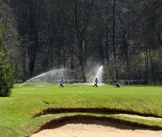 Der Rasen auf dem Golfplatz erstrahlt in kräftigem Grün.