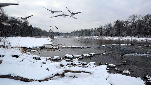 Die Isar kurz hinter der Tierparkbrücke in Richtung stadtauswärts &ndash; fast wie auf dem Land.