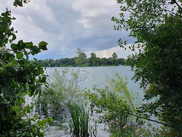 Karpfen, Renken und Aale schwimmen im Echinger See. Vor dem Badetrubel ziehen sie sich aber zurück. Karpfen, Renken und Aale schwimmen im Echinger See. Vor dem Badetrubel ziehen sie sich aber zurück.