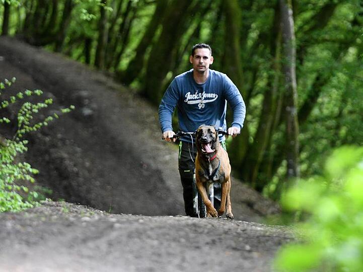 Mario Reitz lässt sich auf einem "Dogscooter" von seiner belgischen Schäferhündin Kira ziehen.
