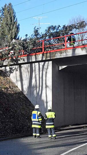 Weil der Baum auf den Gleisen landete, musste der Zugverkehr zwischen München und Holzkirchen eingestellt werden.