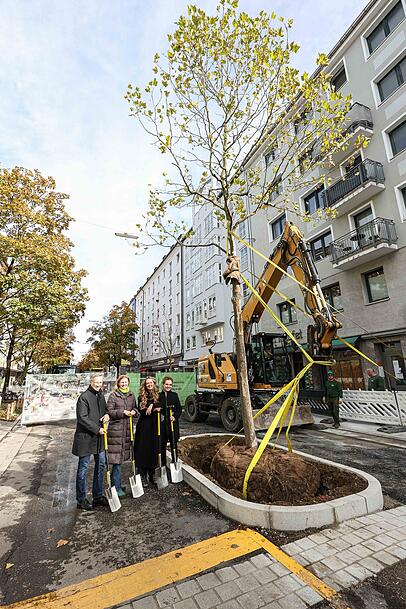 Frisch gepflanzt: Mitten auf der Augustenstraße (Ecke Gabelsbergerstraße) hat die Stadt einen Baum gepflanzt. Mit dabei bei der Pflanzaktion: (v.li.) Mobilitätsreferent Georg Dunkel (parteilos), Maxvorstadt-Viertelchefin Svenja Jarchow-Pongratz (Grüne), Zweite Bürgermeisterin Mona Fuchs (Grüne), Baureferentin Jeanne-Marie Ehbauer (Grüne). Frisch gepflanzt: Mitten auf der Augustenstraße (Ecke Gabelsbergerstraße) hat die Stadt einen Baum gepflanzt. Mit dabei bei der Pflanzaktion: (v.li.) Mobilitätsreferent Georg Dunkel (parteilos), Maxvorstadt-Viertelchefin Svenja Jarchow-Pongratz (Grüne), Zweite Bürgermeisterin Mona Fuchs (Grüne), Baureferentin Jeanne-Marie Ehbauer (Grüne).
