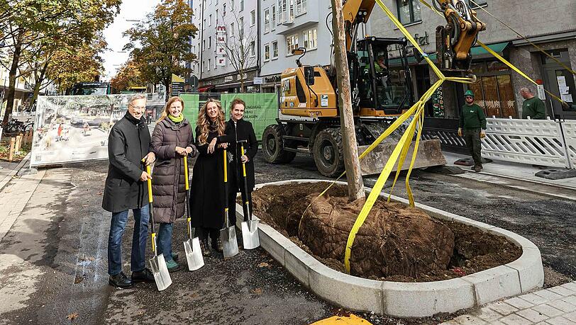 Frisch gepflanzt: Mitten auf der Augustenstraße (Ecke Gabelsbergerstraße) hat die Stadt einen Baum gepflanzt. Mit dabei bei der Pflanzaktion: (v.li.) Mobilitätsreferent Georg Dunkel (parteilos), Maxvorstadt-Viertelchefin Svenja Jarchow-Pongratz (Grüne), Zweite Bürgermeisterin Mona Fuchs (Grüne), Baureferentin Jeanne-Marie Ehbauer (Grüne). Frisch gepflanzt: Mitten auf der Augustenstraße (Ecke Gabelsbergerstraße) hat die Stadt einen Baum gepflanzt. Mit dabei bei der Pflanzaktion: (v.li.) Mobilitätsreferent Georg Dunkel (parteilos), Maxvorstadt-Viertelchefin Svenja Jarchow-Pongratz (Grüne), Zweite Bürgermeisterin Mona Fuchs (Grüne), Baureferentin Jeanne-Marie Ehbauer (Grüne).