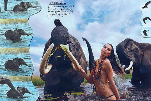 Neben der Wasseroase des Okavango Delta Flusses wurden auch die kahlen Ebenen der Wüste Kalahari als Location gewählt. Hier posiert Daria Werbowy.