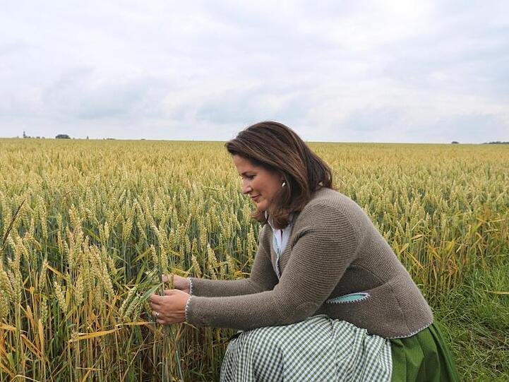 Michaela Kaniber (CSU), Bayerische Landwirtschaftsministerin, hält Ähren von Bio-Weizen in ihren Händen. Foto: Karl-Josef Hildenbrand/Archiv