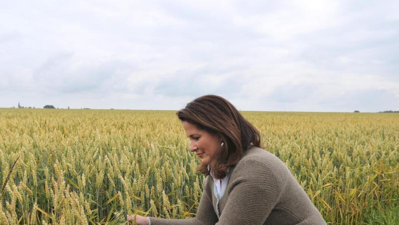 Michaela Kaniber (CSU), Bayerische Landwirtschaftsministerin, hält Ähren von Bio-Weizen in ihren Händen. Foto: Karl-Josef Hildenbrand/Archiv Michaela Kaniber (CSU), Bayerische Landwirtschaftsministerin, hält Ähren von Bio-Weizen in ihren Händen. Foto: Karl-Josef Hildenbrand/Archiv