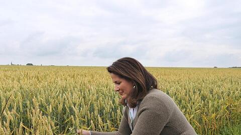 Michaela Kaniber (CSU), Bayerische Landwirtschaftsministerin, hält Ähren von Bio-Weizen in ihren Händen. Foto: Karl-Josef Hildenbrand/Archiv