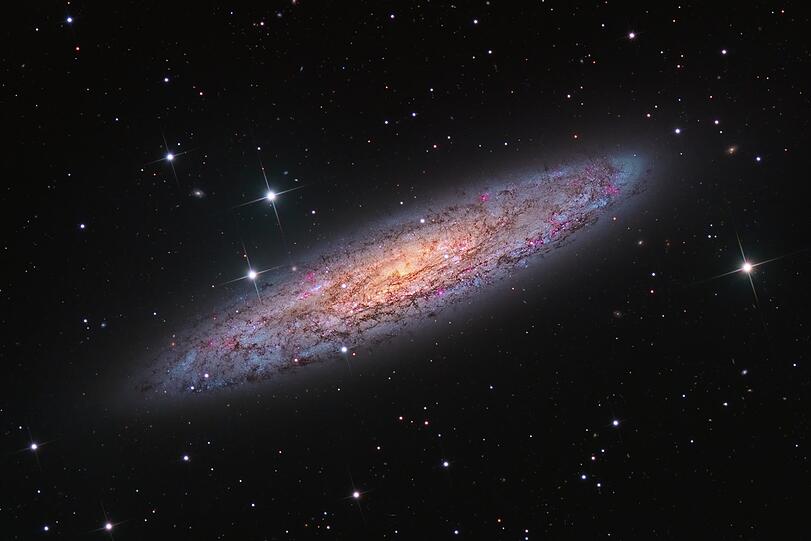 Die Sculptor-Galaxie, auch NGC 253 genannt, von Terry Robison (Kanada): Eine sogenannte Starburstgalaxie bringt deutlich mehr neue Sterne hervor als für ihre Größe üblich.