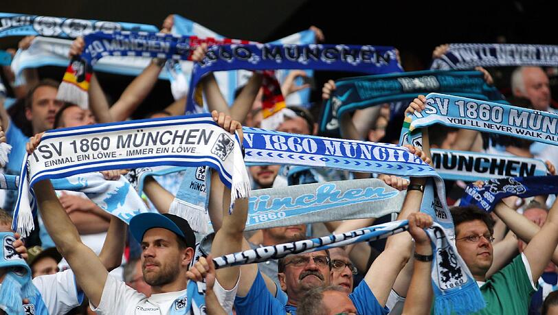 Die Löwen-Fans sind schockiert. Die Löwen-Fans sind schockiert.