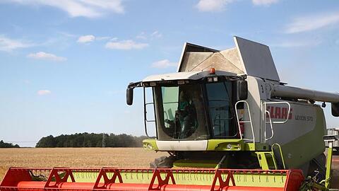 Ein Mähdrescher verrichtet Arbeit auf dem Feld. Foto: Bodo Schackow/dpa-zentralbild/dpa/archiv
