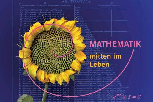 Pflanzliche Mathematik: Die Röhrenblüten der Sonnenblume sind in gegenläufigen logarithmischen Spiralen angeordnet.
