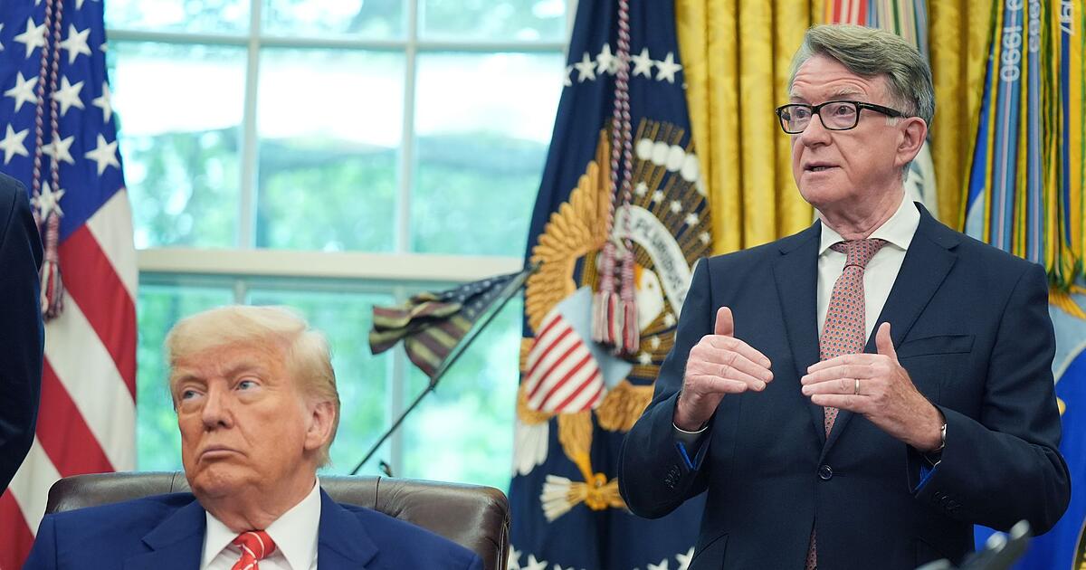 Epstein-Aff-re-Ex-Botschafter-in-USA-verl-sst-Labour-Partei