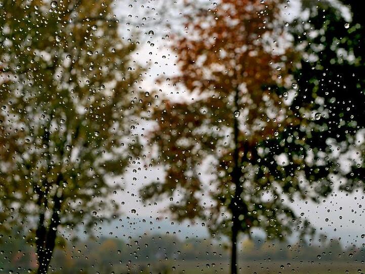 Herbstbäume hinter Regentropfen. Foto: Karl-Josef Hildenbrand/Archivbild
