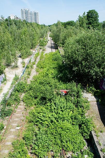 Seir Jahrzehnten ist die Bahnstrecke stillgelegt, die Natur holt sie sich zurück. Seir Jahrzehnten ist die Bahnstrecke stillgelegt, die Natur holt sie sich zurück.
