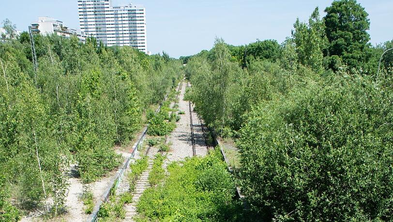 Seir Jahrzehnten ist die Bahnstrecke stillgelegt, die Natur holt sie sich zurück.