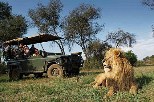 Im Jeep auf Löwenpirsch, Foto: Karsten-Thilo Raab