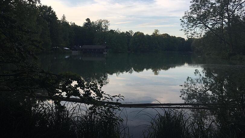 In Hinterbrühl wurden Otter gesehen.