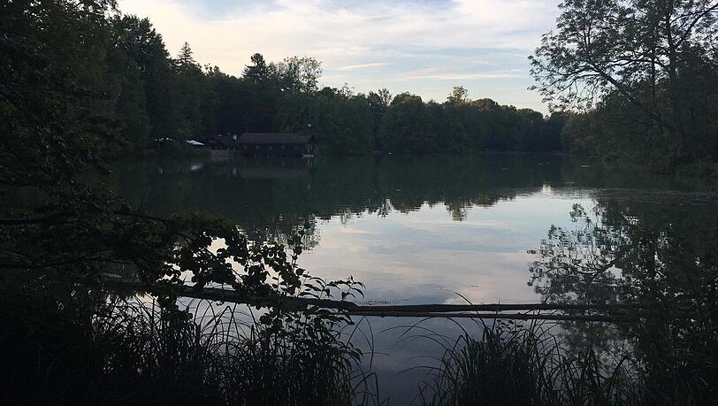 In Hinterbrühl wurden Otter gesehen. In Hinterbrühl wurden Otter gesehen.