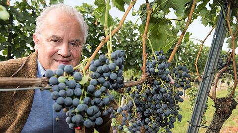 Die Kellers sind seit Jahrhunderten eine mächtige und einflussreiche Winzer- und Gastronomendynastie im Südbadischen &ndash; und Fritz Keller, Patensohn von Fritz Walter, wird bald DFB-Präsident sein.