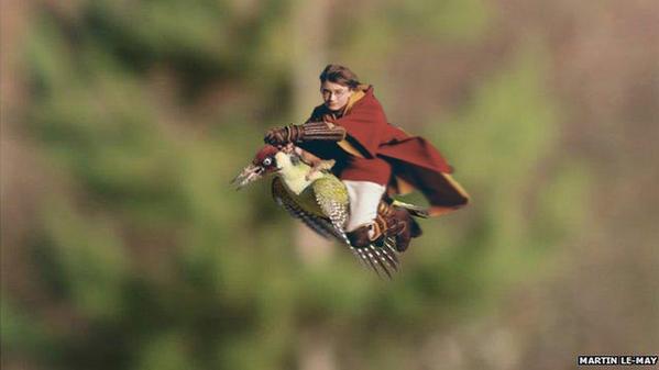 Harry Potter nutzt das ungewöhnliche Transportmittel...