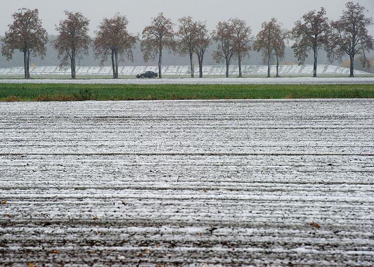 Auch ein Feld bei Peitz in Brandenburg wurde heute mit dem ersten Schnee bestäubt.