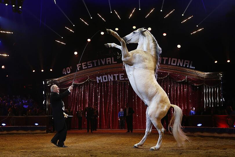 In Monte Carlo läuft das internationale Circus-Festival.
