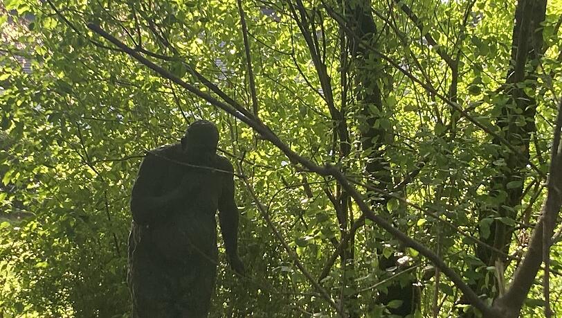 Der Mann ist einsam, ihn zu grüßen, schadet sicher nicht. Der Mann ist einsam, ihn zu grüßen, schadet sicher nicht.
