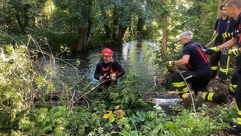 Baumstämme im Auer Mühlbach hatten Schwimmer in Gefahr gebracht.