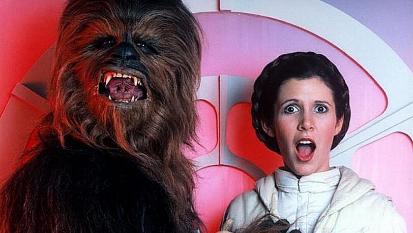 Erwischt! Chewbacca und Prinzessin Leia