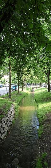 Der Hachinger Bach ist gerade im Sommer ein beliebter Treffpunkt.