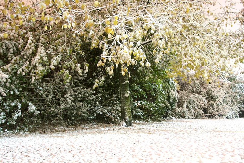 Winterlandschaft im Olympiapark