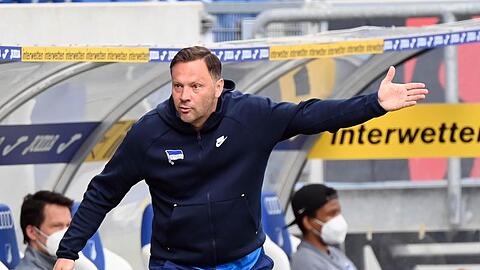 Dardai hat es vollbracht, aus einer verunsicherten Hertha-Mannschaft eine Einheit zu formen und so den Klassenerhalt zu sichern.