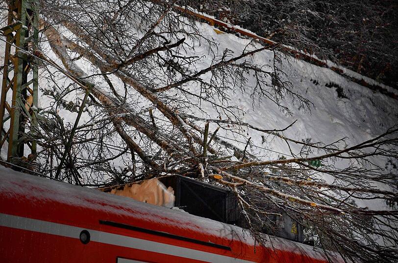 Am Sonntagabend stürzte ein Baum auf einen Zug - die Passagiere hatten Glück im Unglück.