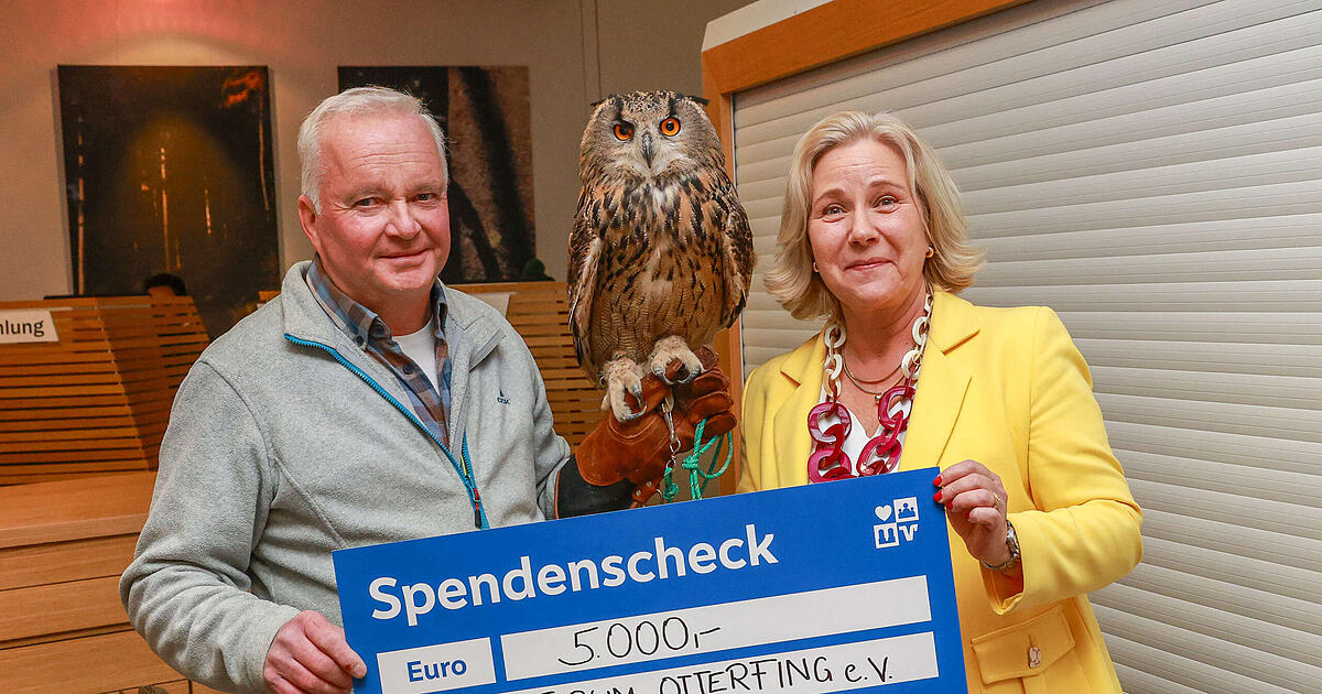 Gro-e-Herzen-und-gro-e-Augen-Wie-Gutes-vereint-vier-Vereine-st-rkt