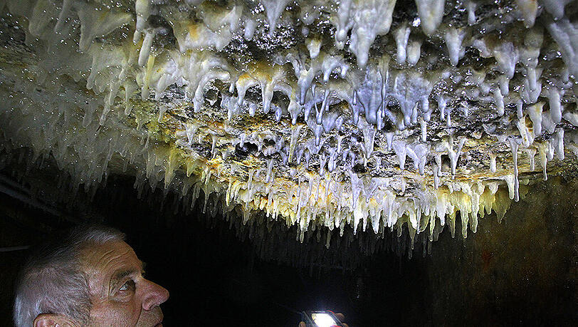 Einzigartige Naturerscheinung: Franz Hösle, Betreuer der unterirdischen Jodquelle Sulzbrunn ist faziniert von den an der Decke der Höhle hängenden schleimigen Fäden. Einzigartige Naturerscheinung: Franz Hösle, Betreuer der unterirdischen Jodquelle Sulzbrunn ist faziniert von den an der Decke der Höhle hängenden schleimigen Fäden.