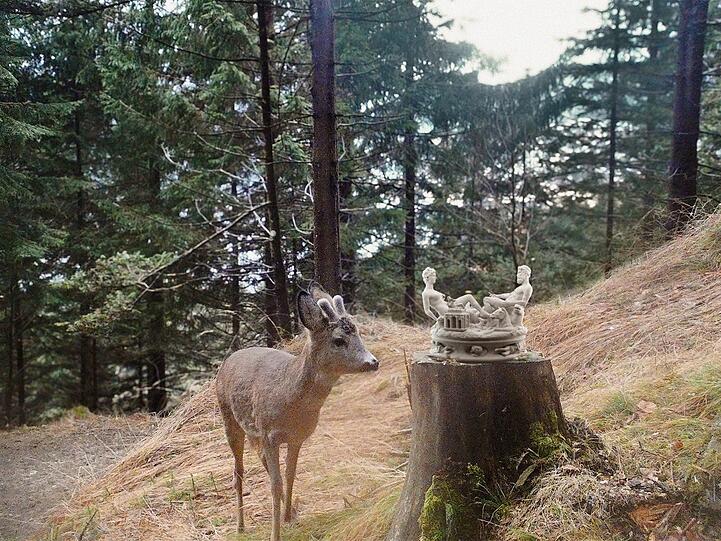 Gleich lässt sich das Reh Cellinis Saliera schmecken. Das Prachtstück ist als Leckstein in einem Wald in der Steiermark gefragt.