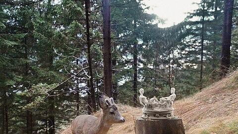 Gleich lässt sich das Reh Cellinis Saliera schmecken. Das Prachtstück ist als Leckstein in einem Wald in der Steiermark gefragt.