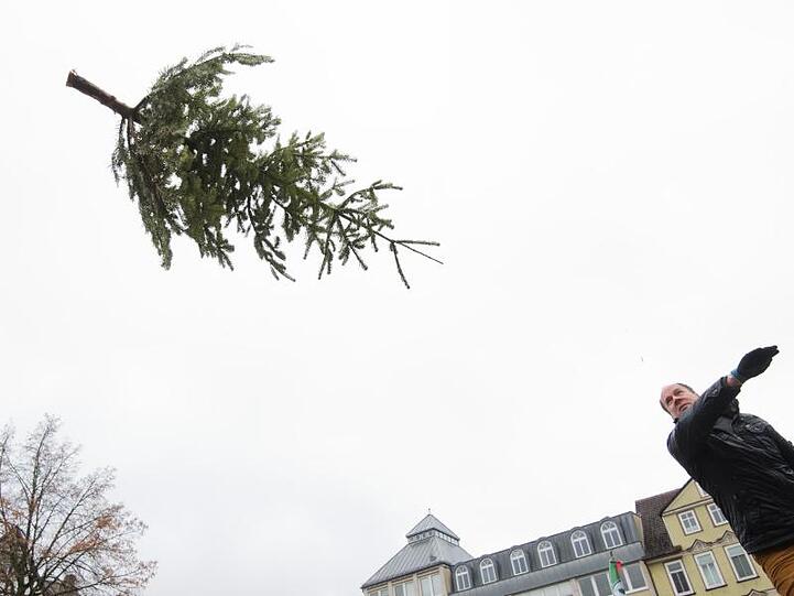 Tannenbäume können fliegen - zumindest in Peine.